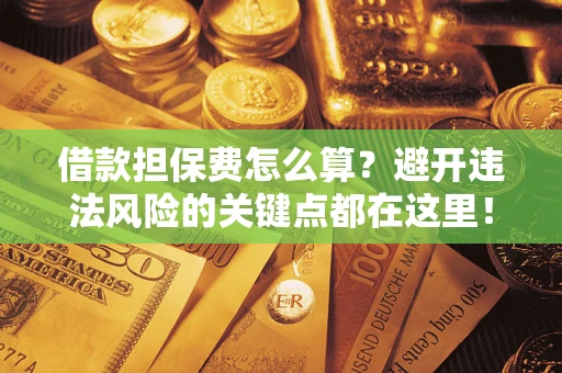 济南借款担保费怎么算？避开违法风险的关键点都在这里！