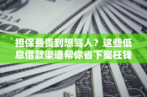 济南担保费贵到想骂人？这些低息借款渠道帮你省下冤枉钱