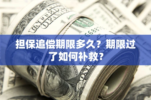 济南担保追偿期限多久？期限过了如何补救？