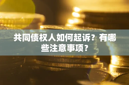 济南共同债权人如何起诉？有哪些注意事项？
